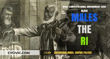 The 15th Amendment: Black Male Suffrage