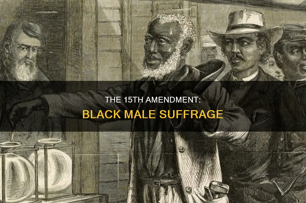 what constitutional amendment gave black males the ri