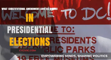 The Amendment That Gave DC a Voice in Elections