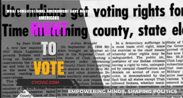 Native American Suffrage: A Constitutional Amendment