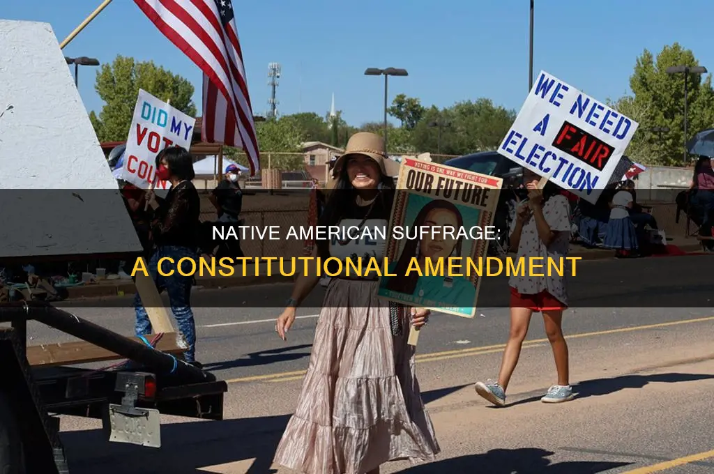 what constitutional amendment gave native americans right to vote