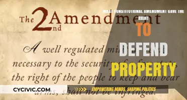 The Second Amendment: Right to Bear Arms and Defend Property