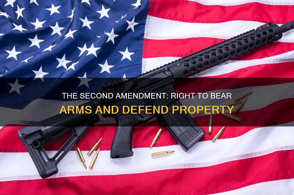 what constitutional amendment gave the right to defend property