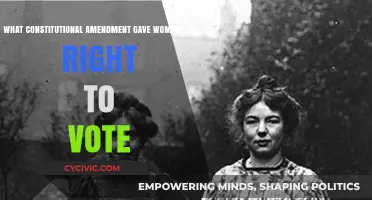 The Amendment that Empowered Women to Vote
