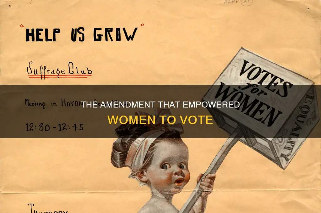what constitutional amendment gave women the right to vote