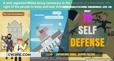 The Right to Self-Defense: An American Constitutional Amendment