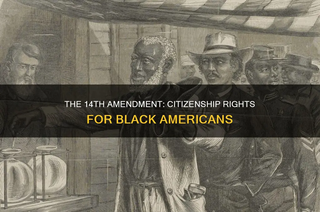 what constitutional amendment gives blacks the right to citizenship