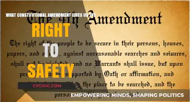 The Right to Safety: Understanding Constitutional Amendments