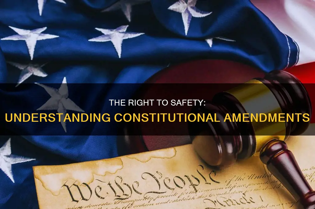 what constitutional amendment gives us the right to safety