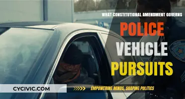 Vehicle Pursuits and the Fourth Amendment