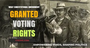 Voting Rights: A Constitutional Amendment's Legacy