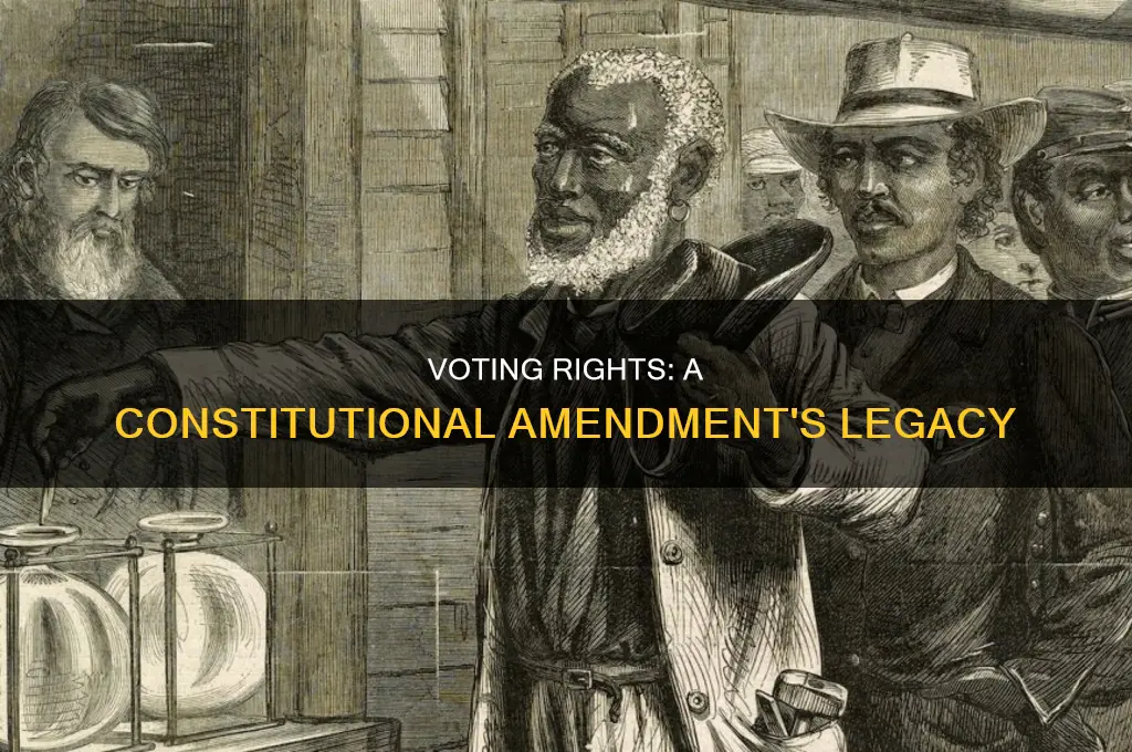 what constitutional amendment granted voting rights