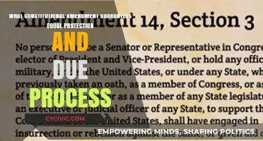 The Fourteenth Amendment: Equal Protection and Due Process