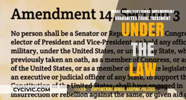 The Fourteenth: Equal Treatment Under the Law