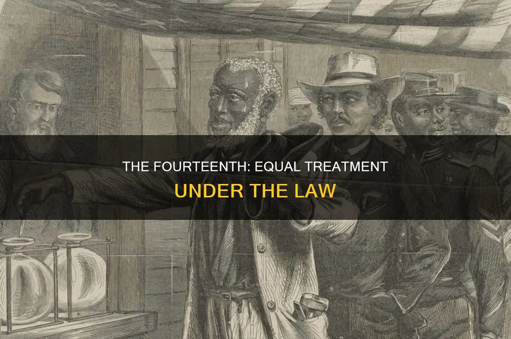 what constitutional amendment guarantees equal treatment under the law