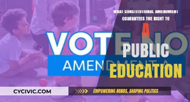 The Right to Education: A Constitutional Guarantee