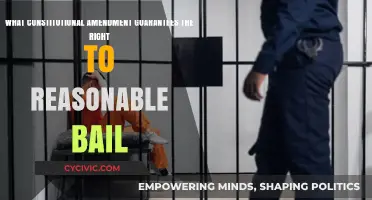 The Eighth Amendment: Understanding Your Right to Bail