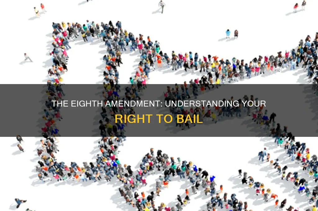 what constitutional amendment guarantees the right to reasonable bail