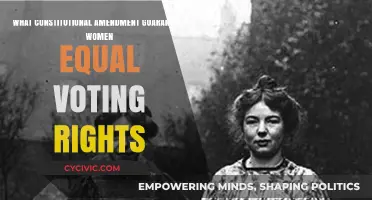 The Amendment that Empowered Women Voters