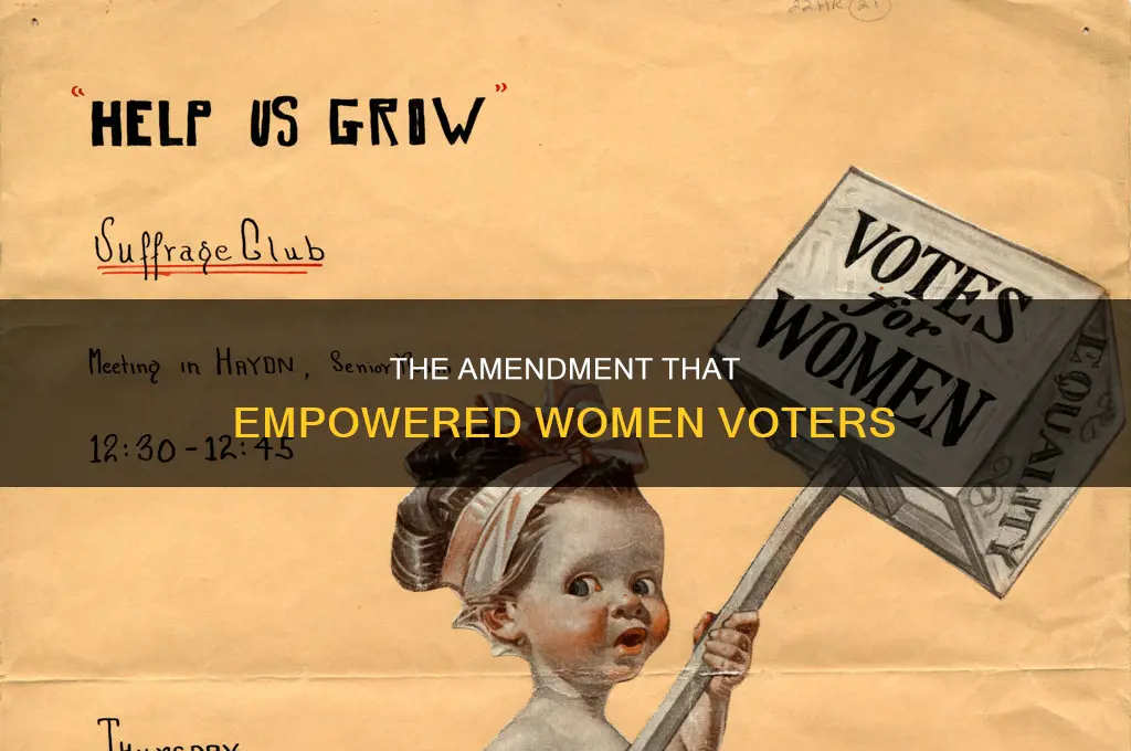 what constitutional amendment guarantees women equal voting rights