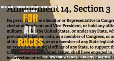 Equal Protection: Constitutional Amendment for Racial Equality