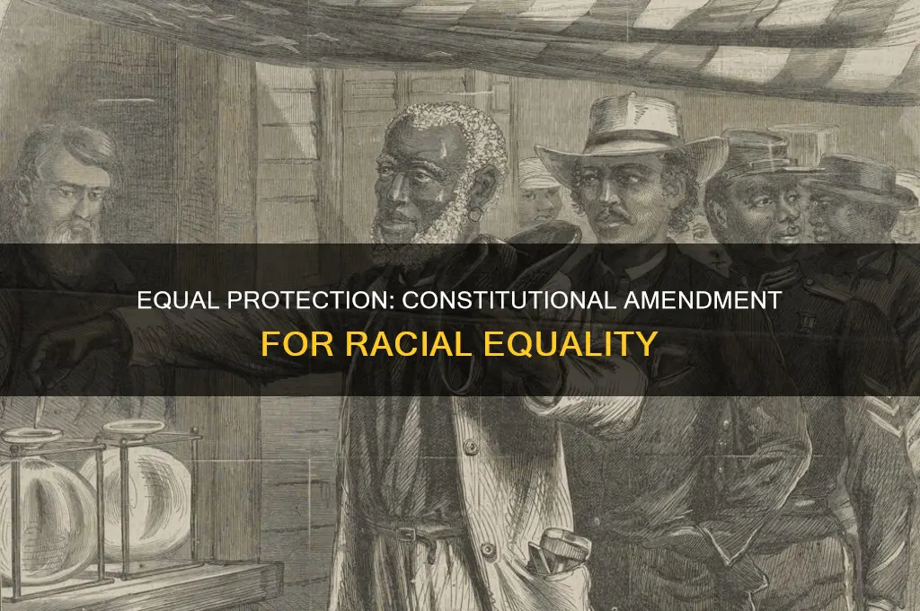 what constitutional amendment gurantees equal protection for all races