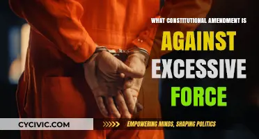 Excessive Force: The Amendment for Protection