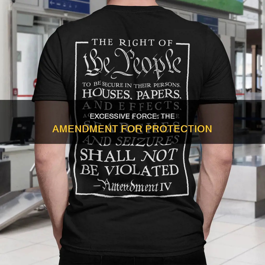 what constitutional amendment is against excessive force