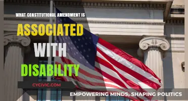 Disability Rights: The Constitutional Amendment Impact