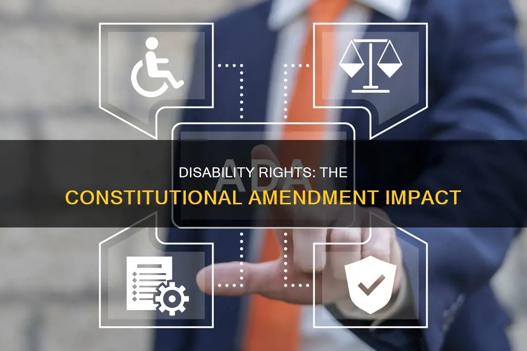 what constitutional amendment is associated with disability