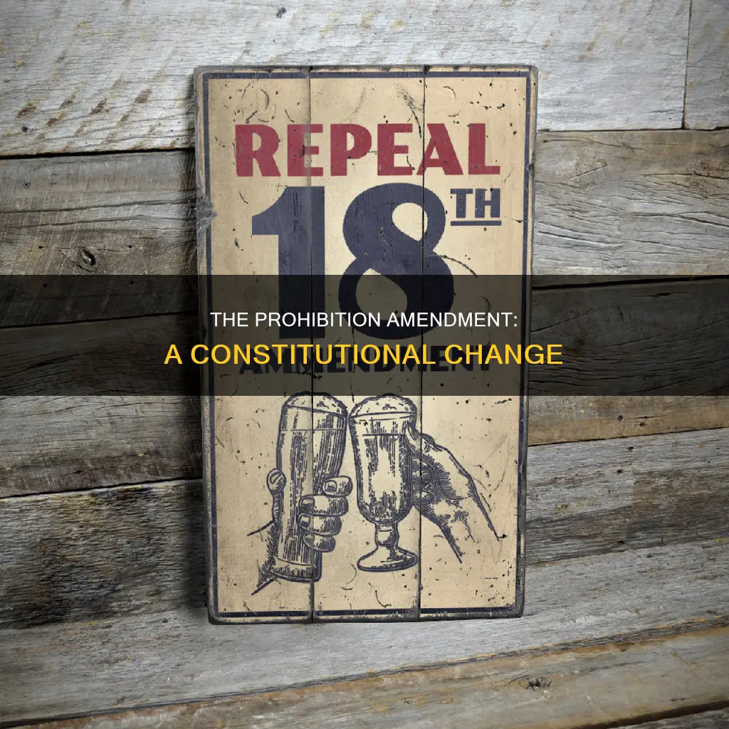 what constitutional amendment is associated with the prohibition era