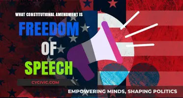 Freedom of Speech: The First Amendment