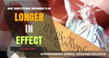 Expired Amendments: Understanding Our Evolving Constitution