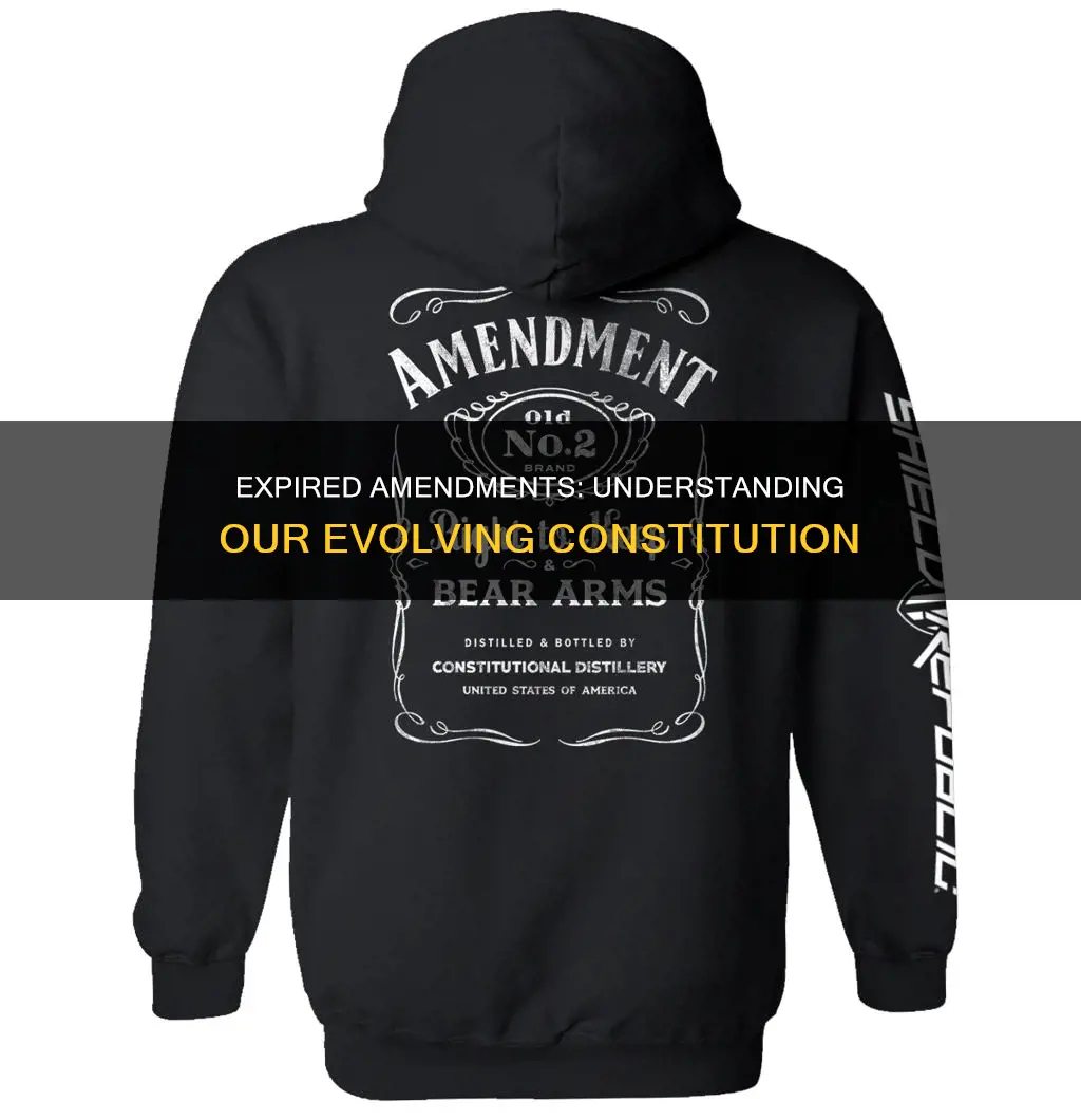 what constitutional amendment is no longer in effect