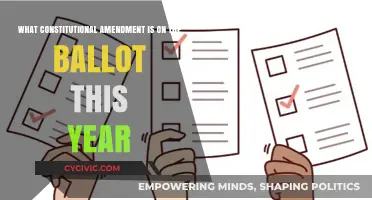 Constitutional Amendments: What's on the Ballot This Year?