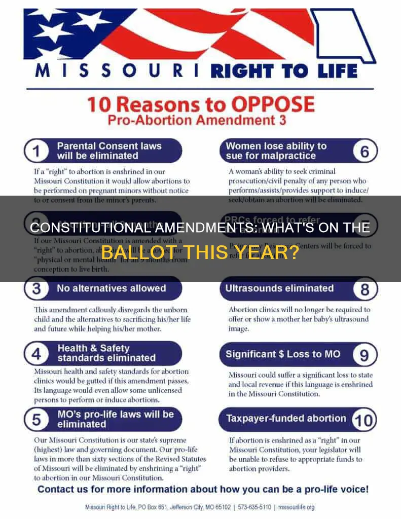 what constitutional amendment is on the ballot this year