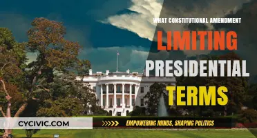 Term Limits: A Constitutional Amendment for the Presidency