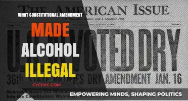 How Prohibition Changed America's Constitution
