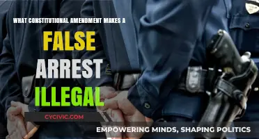 The Fourth Amendment: False Arrests and Unlawful Search and Seizure