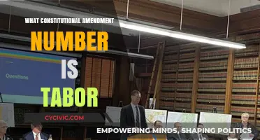 Constitutional Amendment: Understanding Tabor's Impact