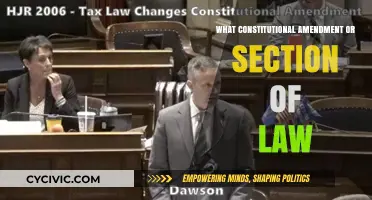 Exploring Constitutional Amendments: Understanding Our Rights and Freedoms