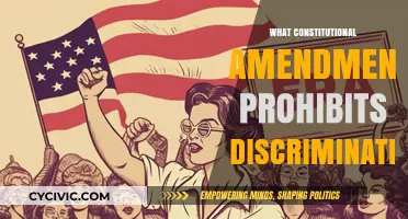 The Equality Amendment: Banning Discrimination in the US