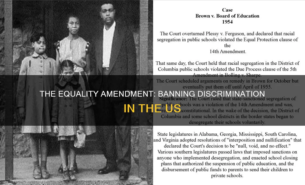 what constitutional amendment prohibits discrimination