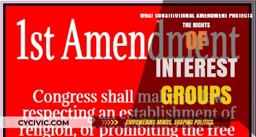 The Power of Interest Groups: Constitutional Amendments