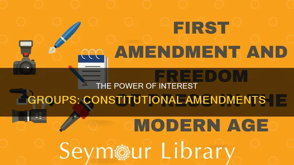 what constitutional amendment protects the rights of interest groups