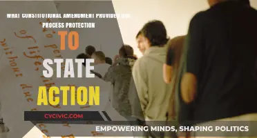 Due Process Rights: Constitutional Amendments and State Action