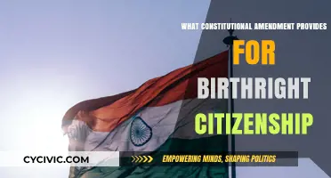 Understanding Birthright Citizenship in the US Constitution