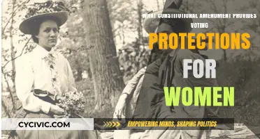 The Amendment That Gave Women Voting Rights