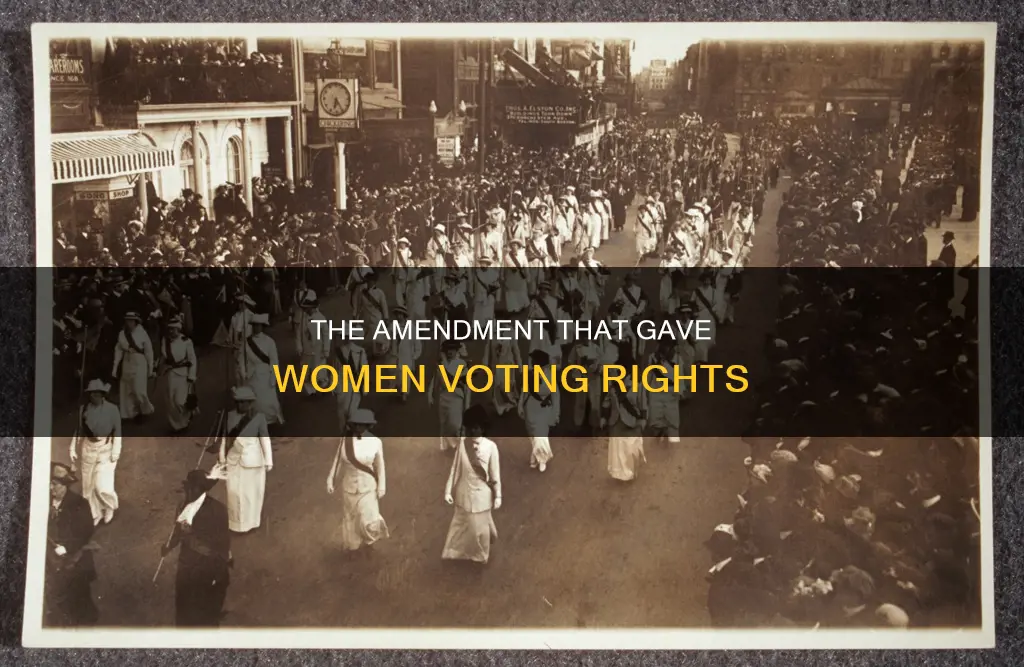 what constitutional amendment provides voting protections for women