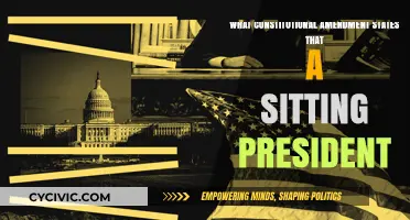 Who Can Be President?